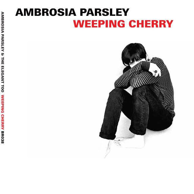 AMBROSIA PARSLEY: brilliant singer-songwriter with the best name and the best vintage taste - refashioner - 2